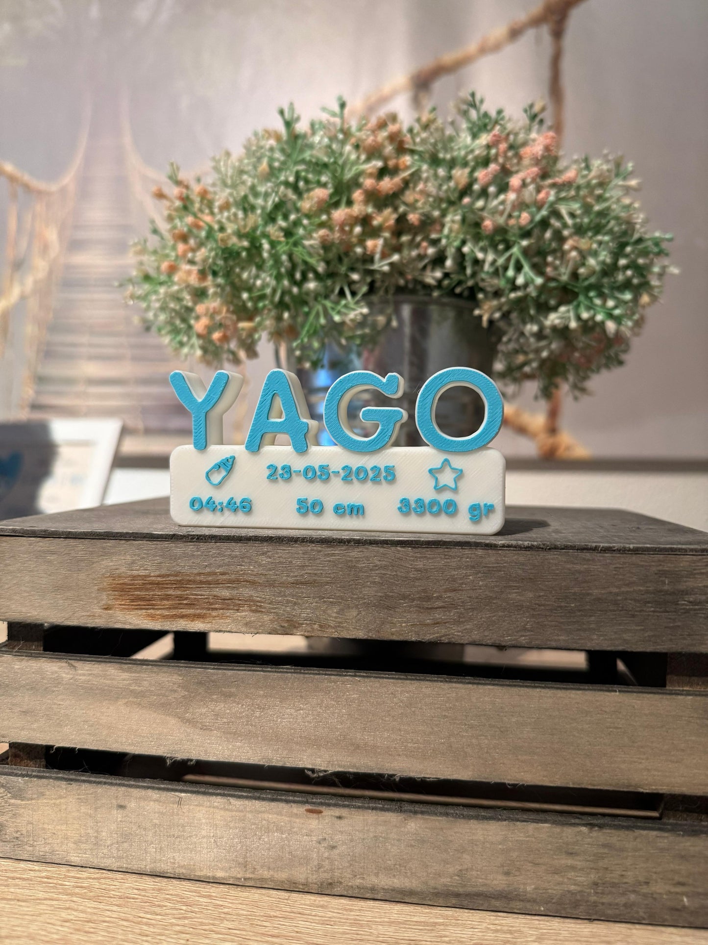 Letrero Detalles de Nacimiento