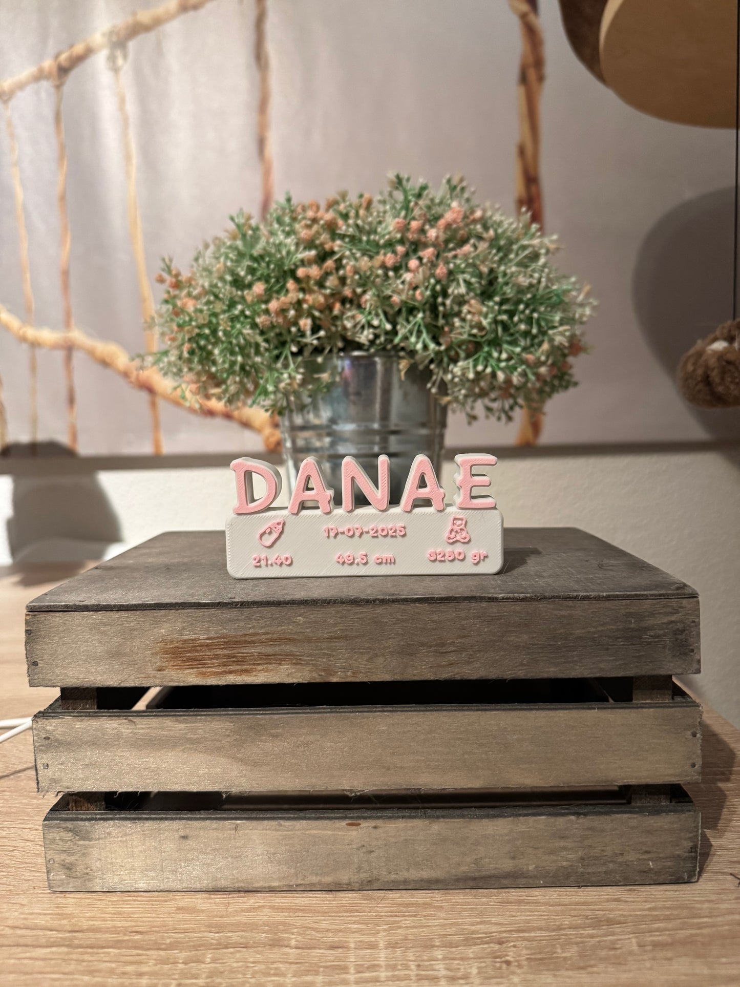 Letrero Detalles de Nacimiento