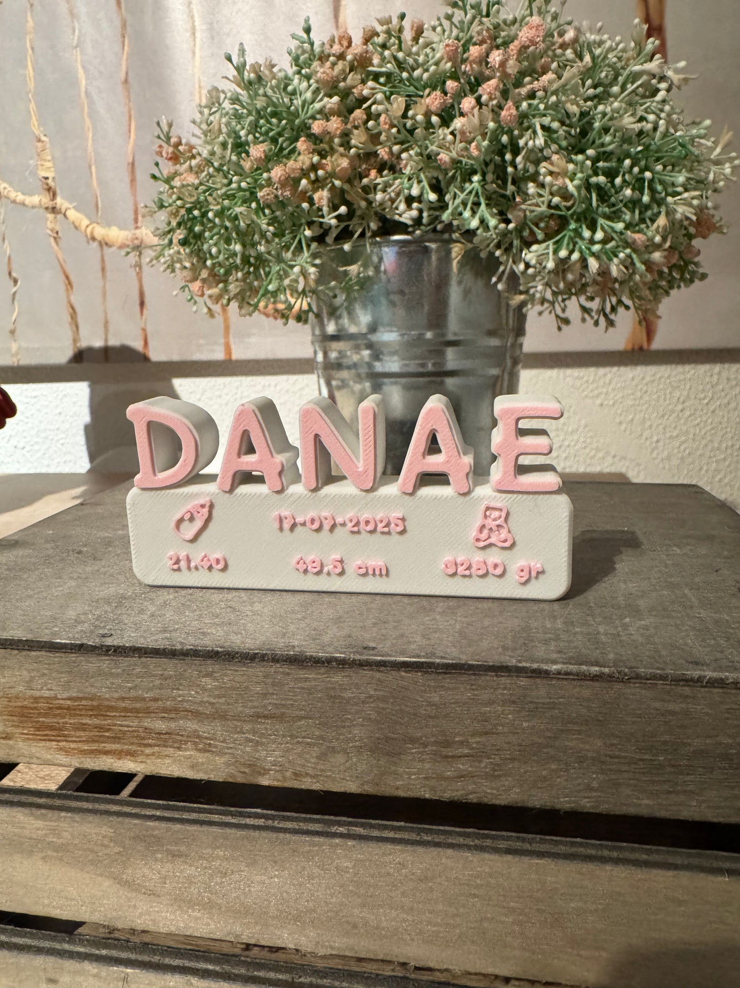 Letrero Detalles de Nacimiento